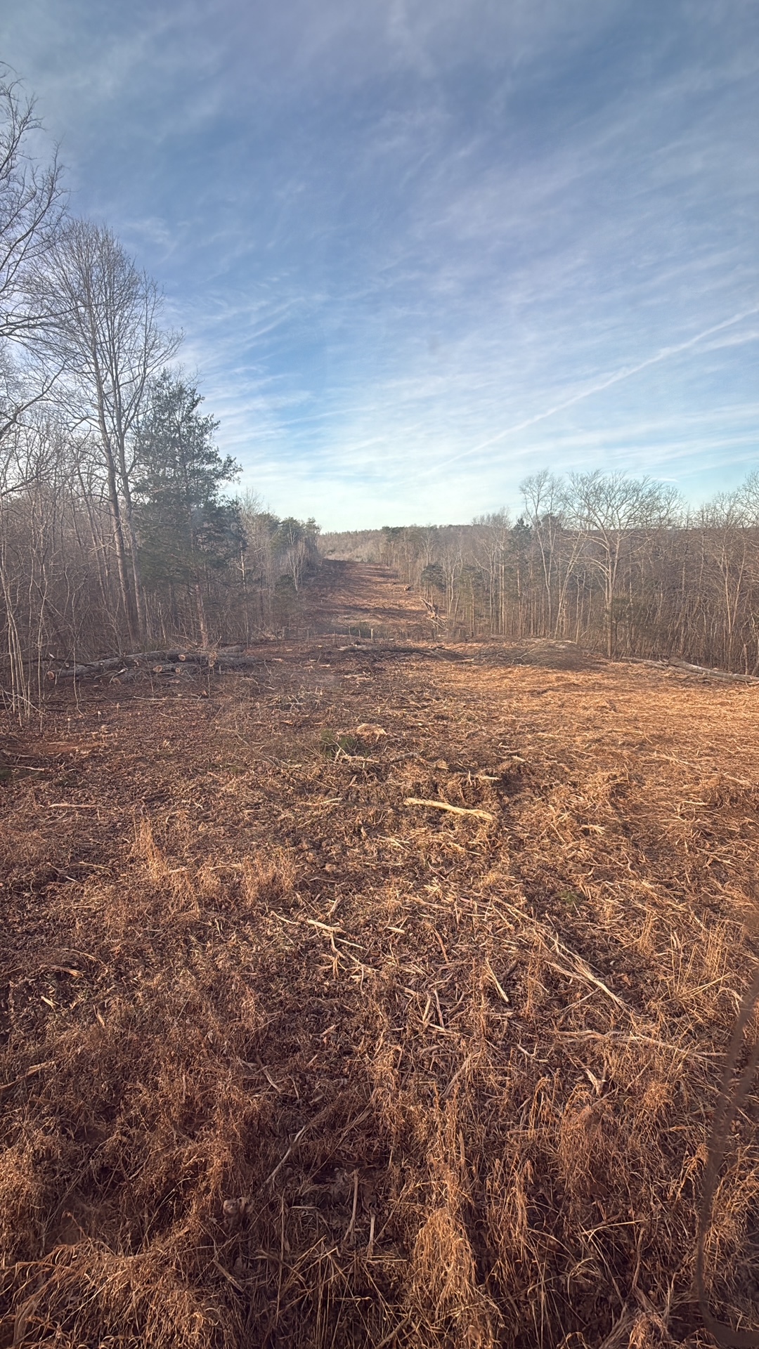 Powerline Clearing — Midwest Utilities